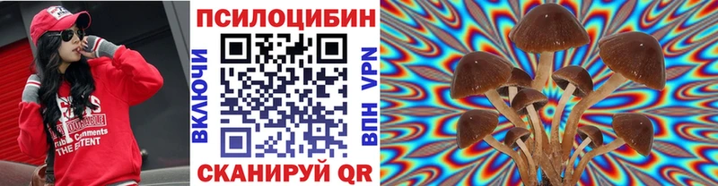 Псилоцибиновые грибы ЛСД  blacksprut зеркало  Туринск 